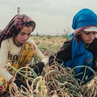 Çocukları yakan 'Zenginler' düzeni