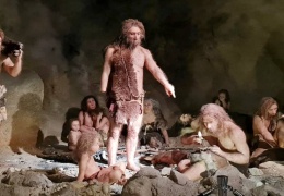 Neandertallerin nasıl yok olduğunun gizemi çözülüyor mu?