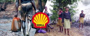 Shell, tazminat değil hesap vermeli