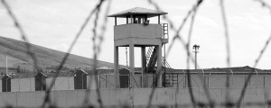 'Kuyu Tipi' cezaevlerini kapatın