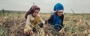 Çocukları yakan 'Zenginler' düzeni