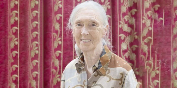 Jane Goodall