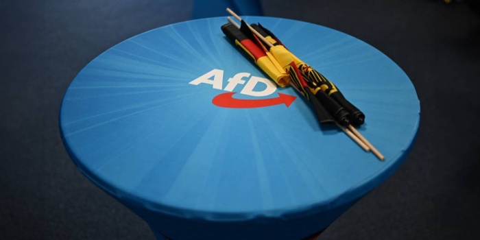 AfD/foto:AFP