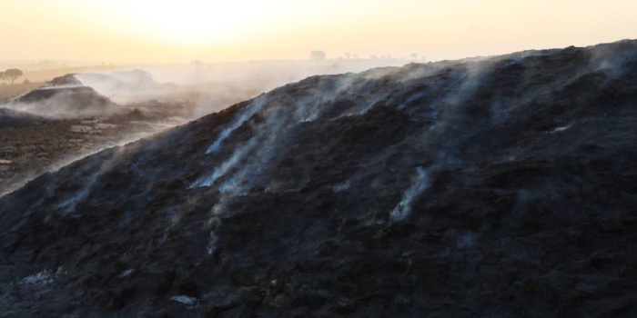 Çınar yangın/ Foto: Medine MAMEDOĞLU