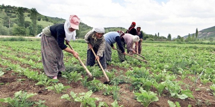 Mevsimlik kadın işçiler