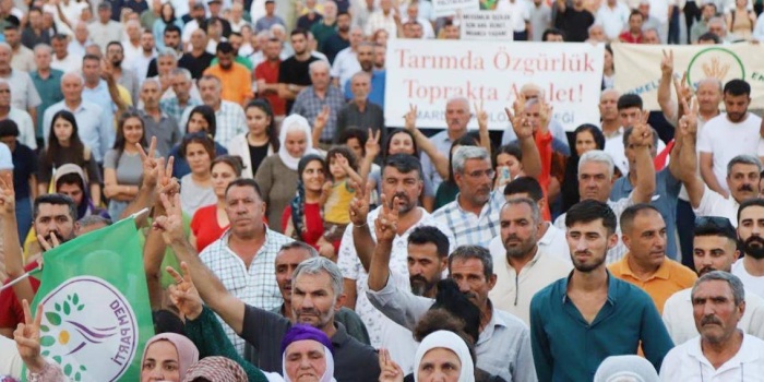 Ekmek ve Adalet Kampanyası, Mardin