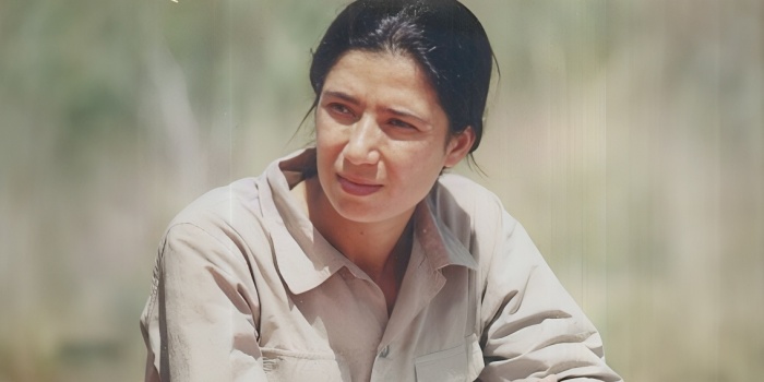 Şîlan Kobanî