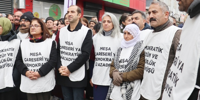 Demokratik Çözüm ve Özgürlük Yürüyüşü/ foto:Medine MAMEDOĞLU