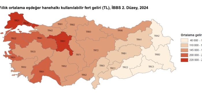 Gelir adetsizliği